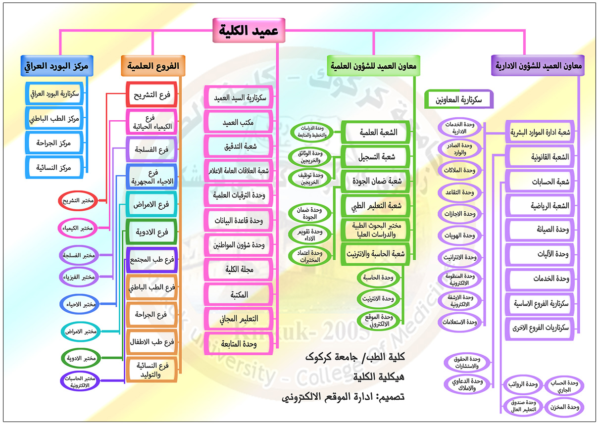 هيكلية الكلية